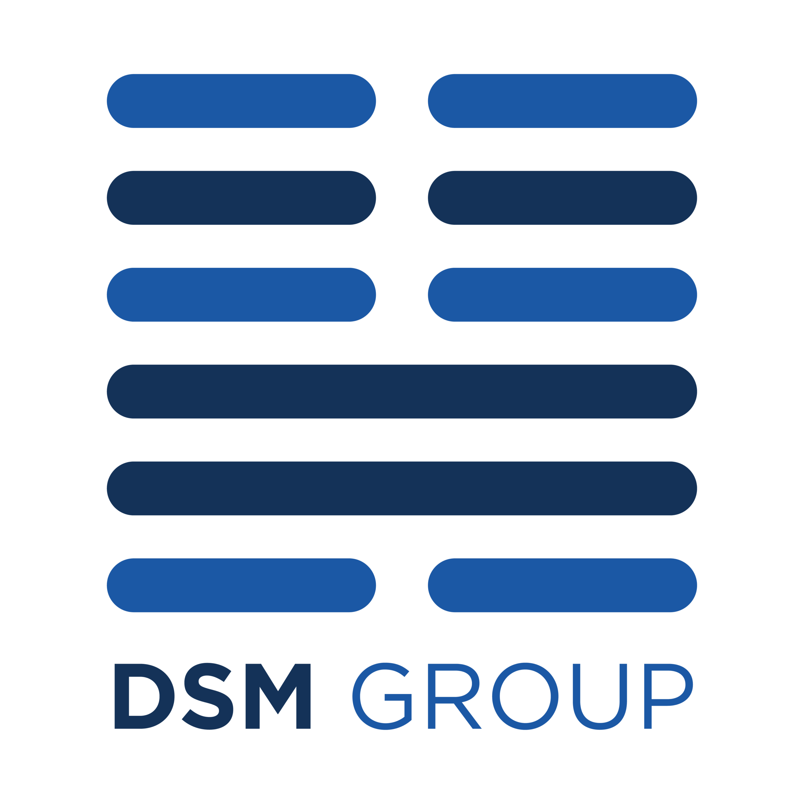 Company Profile – DSM Group